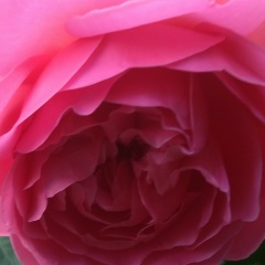 Элеонора Огай, 29.12.1987, Краснодар