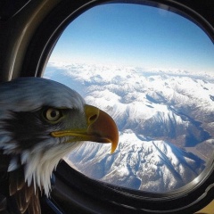 Кантемир Баксанов, 02.10, Санкт-Петербург