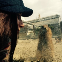 Окапитан Мойкапитан, 06.03.1988, Москва