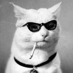 Константин К, 01.04.1981, Липецк