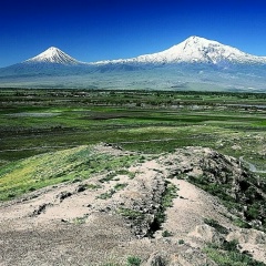 Александр Асриянц, 22.06.1976, Санкт-Петербург