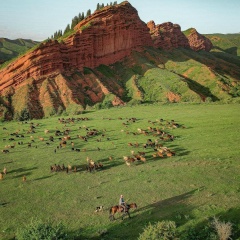 Темирлан Асаналиев, 15.05.2001, Бишкек