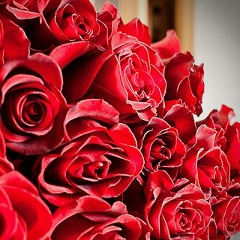 Лейля Гериева, 24.10, Москва