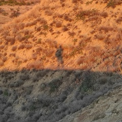 Евгений Кретинин, 19.03.1988, Новосибирск