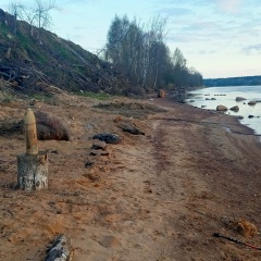 Константин Митрофанов, 13.02, Санкт-Петербург