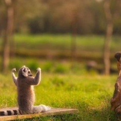 Алмасбек Ануарбеков, 23.09.1988, Алматы