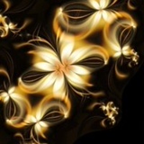 Юлия Туз, 12.11, Черновцы