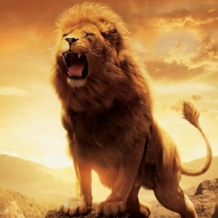 Чередов Клайд, 04.04