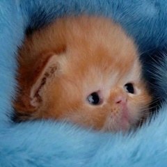 Данил Романов, 07.04.1992