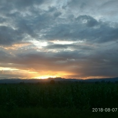 Too Naing, 25.06.1992