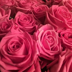 Мария Савро, 10.01.1986, Москва