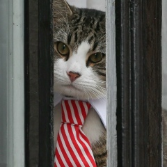 Михаил Мухин