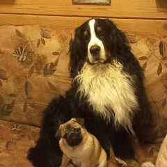 Тая Семионенкова, 31.07, Санкт-Петербург