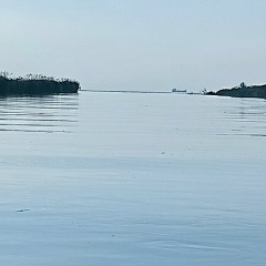 Дмитрий Чич, 10.02