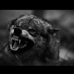 Nursultan Talipov, 02.02, Алматы