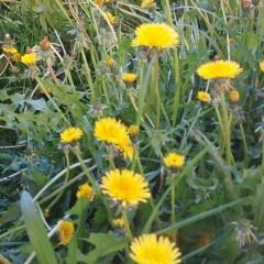 Аркадий Верховский, 28.07