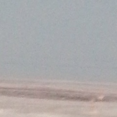 Алексей Подласов