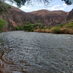 Данияр Канатулы, 13.01, Алматы