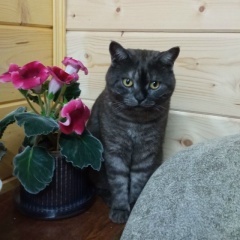 Роза Киамова, 16.10.1972, Набережные Челны