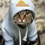 Даниил Тишкин, 06.06, Тула