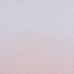 Роман Обухов, Санкт-Петербург