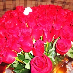 Кристина Лялина, 15.12.2008, Москва