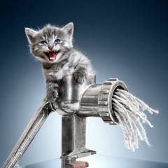 Саня Синченко, 27.03.1991, New Yarmouth