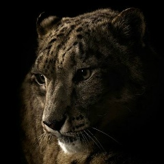 Наталья Яковлева, Нижневартовск