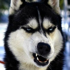 Евгений Smile, 08.07, Санкт-Петербург