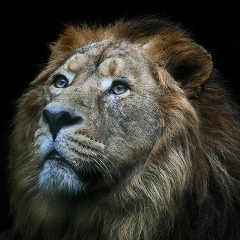 Александр Мельников, 23.03, Славгород