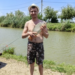 Кирилл Лавров, Краснодар