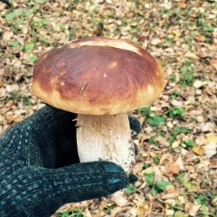 Сергей Бахмутский, 29.04, Москва