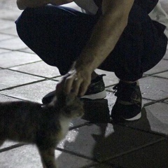 Серикбай Нуржигитулы, 01.01