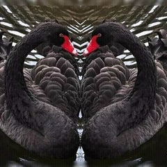 Madiar Ospan, 21.01.2002, Сарканд