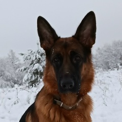 Александр Бахтин, 02.02.1987, Оршанка