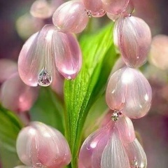 Людмила Ковальчук, 26.07