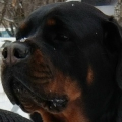 Vhaldemar Kudinkin, 05.05.1989, Москва