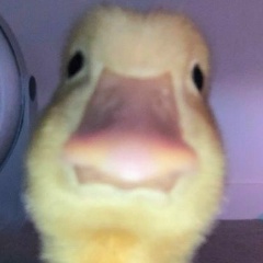 Динара Джумаева, 03.12