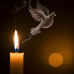 Диана Метревели, Ставрополь