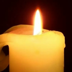 Полина Конева, 14.08.1987, Санкт-Петербург