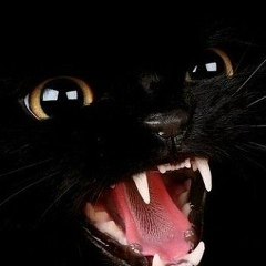 Сабухи Аббасов, 08.05.1988, Королёв