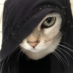 Сергей Иванов, 19.07, Москва