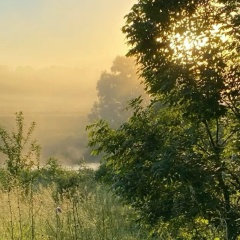 Лидия Ретюнских, Санкт-Петербург