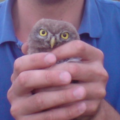 Валерий Зуев