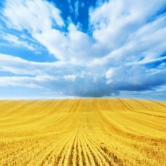 Игорь Долбня, 09.09.1992, Луганск