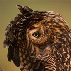 Саша Яскевич, 01.01