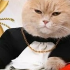 Василий В, 27.01, Москва