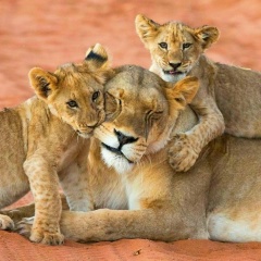 Анна Эл, 07.05, Сочи