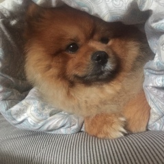 Настя Глушко, 24.03, Находка (поселок)