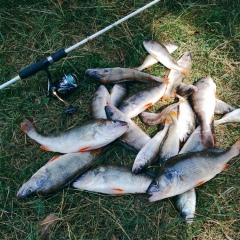 Михаил Олегович, 26.08, Пинск